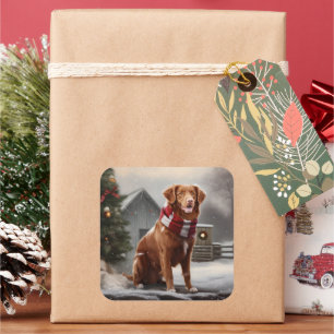 Nova Scotia Duck Toller Dog Schnee Weihnachten Quadratischer Aufkleber