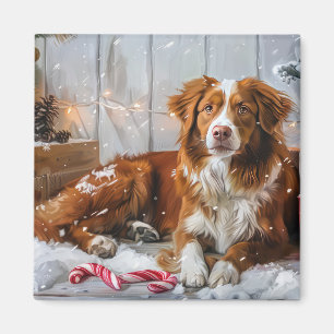 Nova Scotia Duck Toller Dog Weihnachtsfest Magnet