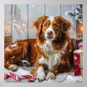 Nova Scotia Duck Toller Dog Weihnachtsfest Poster