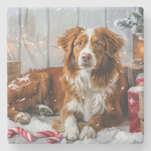 Nova Scotia Duck Toller Dog Weihnachtsfest Steinuntersetzer