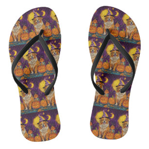 Nova Scotia Duck Toller Halloween HexenkPumpkin Flip Flops