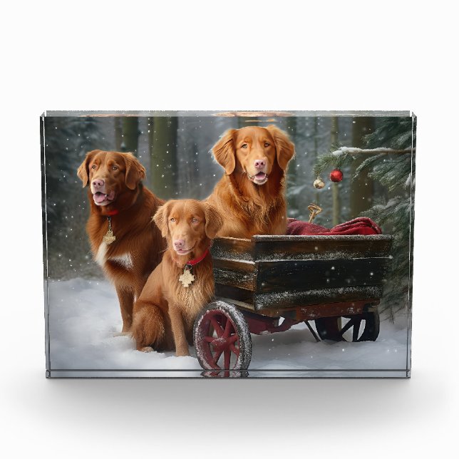Nova Scotia Duck Toller Retriever Snowy Sleigh Fotoblock (Vorderseite)