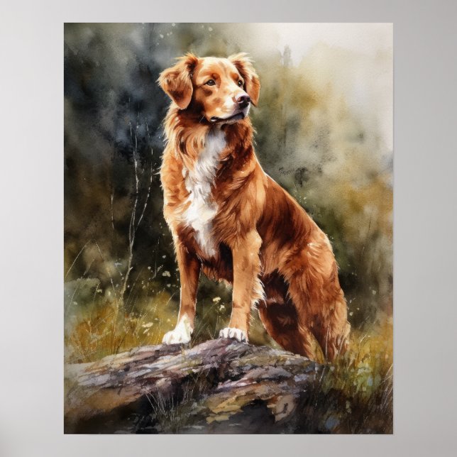 Nova Scotia Duck Tolling Retrieve Dog Art Poster (Vorne)