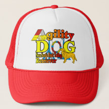 Nova Scotia Duck Tolling Retriever Agility