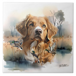 Nova Scotia Duck Tolling Retriever, Art Fliese