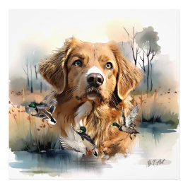Nova Scotia Duck Tolling Retriever, Art Fotodruck