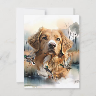 Nova Scotia Duck Tolling Retriever, Art Postkarte