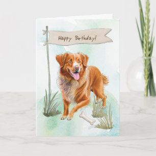 Nova Scotia Duck Tolling Retriever Birthday Sign Karte