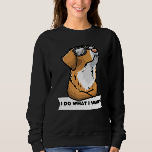 Nova Scotia Duck Tolling Retriever Dog mit Sungla Sweatshirt