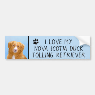 Nova Scotia Duck Tolling Retriever Dog Painting Autoaufkleber