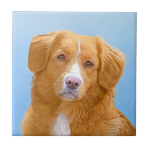 Nova Scotia Duck Tolling Retriever Dog Painting Fliese