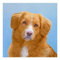 Nova Scotia Duck Tolling Retriever Dog Painting