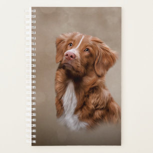 Nova Scotia Duck Tolling Retriever dog Planer