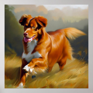 Nova Scotia Duck-Tolling Retriever Dog Poster