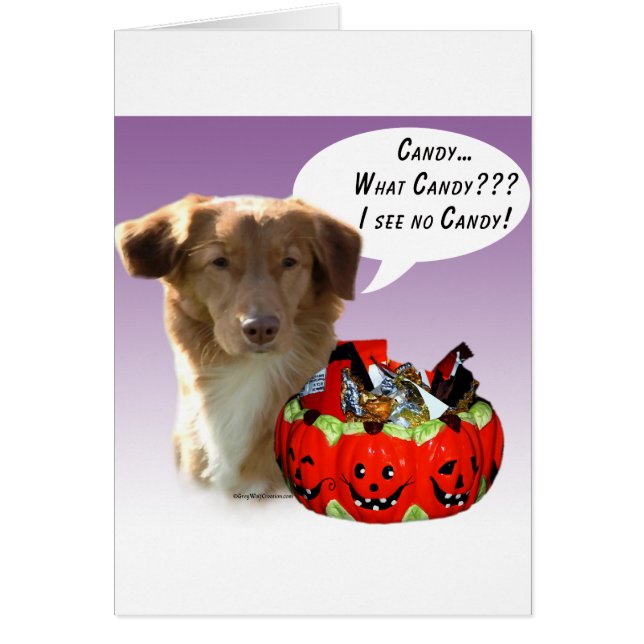 Nova Scotia Duck Tolling Retriever Halloween Candy (Vorne)