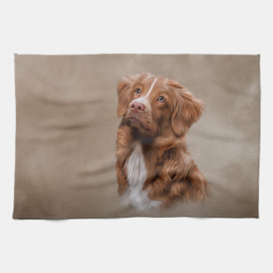 Nova Scotia Duck Tolling Retriever Hund Geschirrtuch