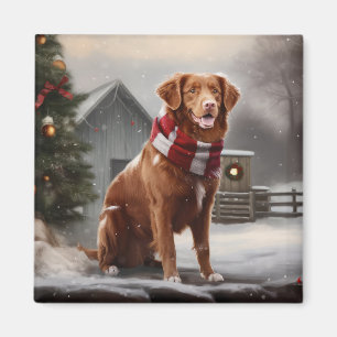 Nova Scotia Duck Tolling Retriever Hund im Schnee Magnet