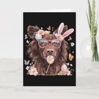 Nova Scotia Duck Tolling Retriever Hundeliebhaber 