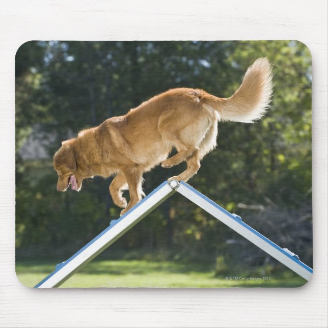 nova scotia duck tolling retriever mousepad (Vorne)
