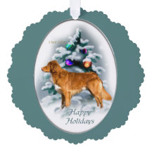 Nova Scotia Duck Tolling Retriever