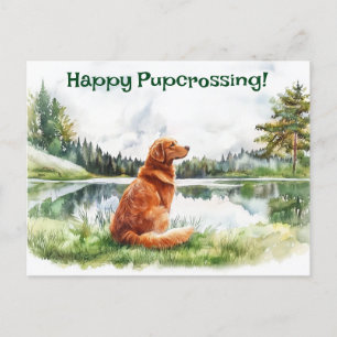 Nova Scotia Duck Tolling Retriever Postcross Postkarte