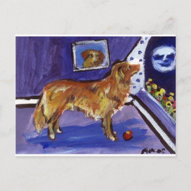 Nova Scotia Duck Tolling Retriever Postkarte (Vorderseite)