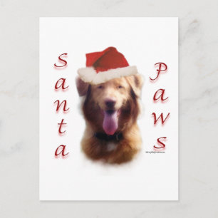 Nova Scotia Duck Tolling Retriever Santa Paws Feiertagspostkarte