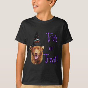 Nova Scotia Duck Tolling Retriever Trick T-Shirt