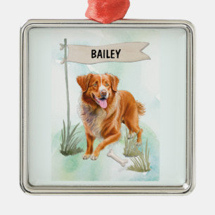 Nova Scotia Duck Tolling Retriever Wasserfarben Hu Ornament Aus Metall