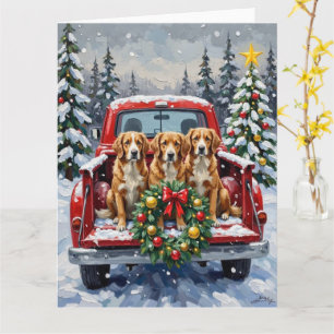 Nova Scotia Duck Tolling Retriever Weihnachten Rot Karte