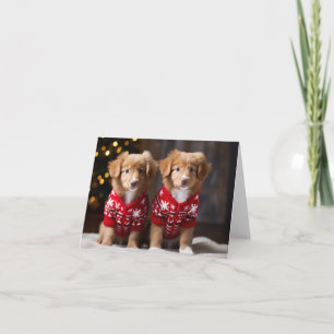 Nova Scotia Ducktolling Retrievers Weihnachtskarte Karte