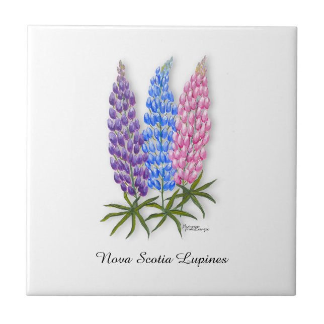 Nova Scotia Lupinen Fliese (Vorderseite)