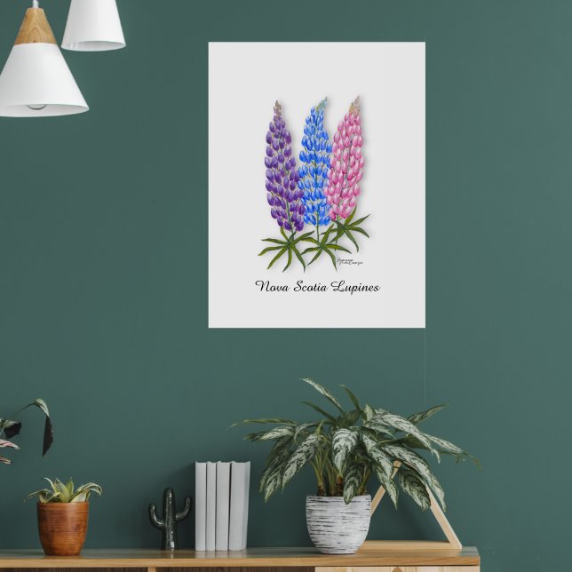 Nova Scotia Lupines Poster (Wohnzimmer 1)