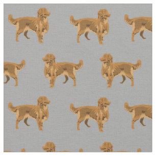 Nova Scotia Retriever Hund grau Stoff