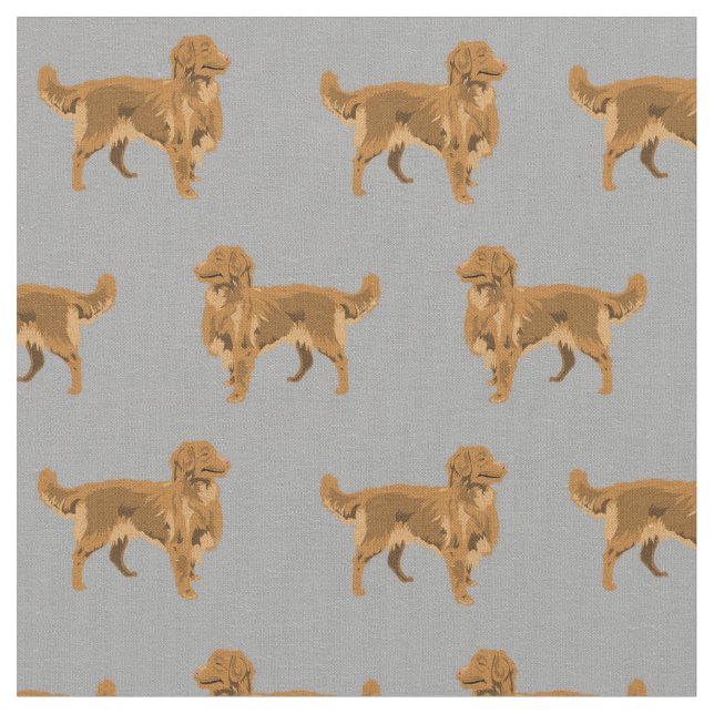 Nova Scotia Retriever Hund grau Stoff (Nahaufnahme)