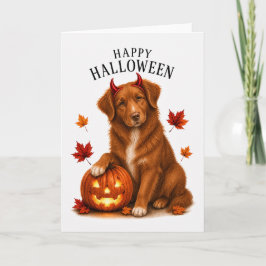 Nova Scotia Toller Teufelshund Karte