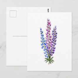 Nova Sotia Lupinen Postkarte