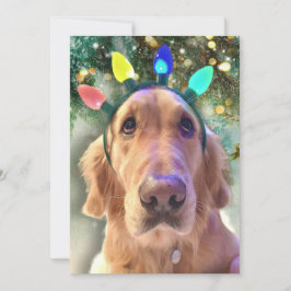 Nova the Golden Retriever Dog Einladung zu Weihnac