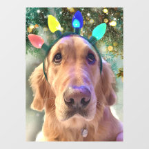 Nova The Golden Retriever Dog Weihnachten