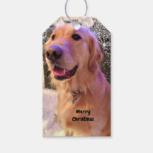 Nova The Golden Retriever Dog Weihnachtsgeschenk-T