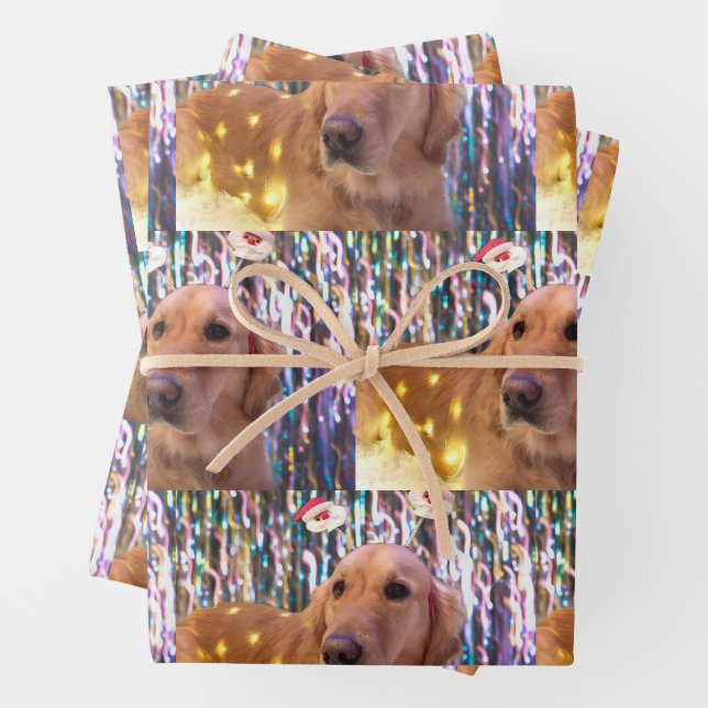 Nova the Golden Retriever - Packpapierblätter Geschenkpapier Set (Beispiel)