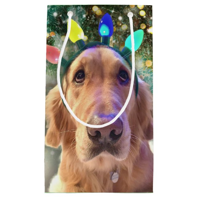 Nova the Golden Retriever - Weihnachten  Kleine Geschenktüte (Vorderseite)