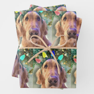 Nova the Golden Retriever - Wrapping Paper Sheets Geschenkpapier Set