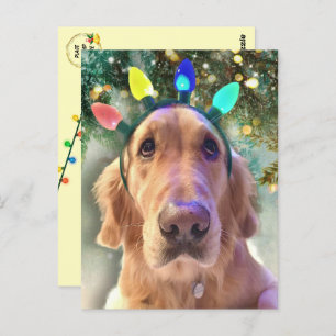 Nova The Golden Retriever's Christmas Postkarte