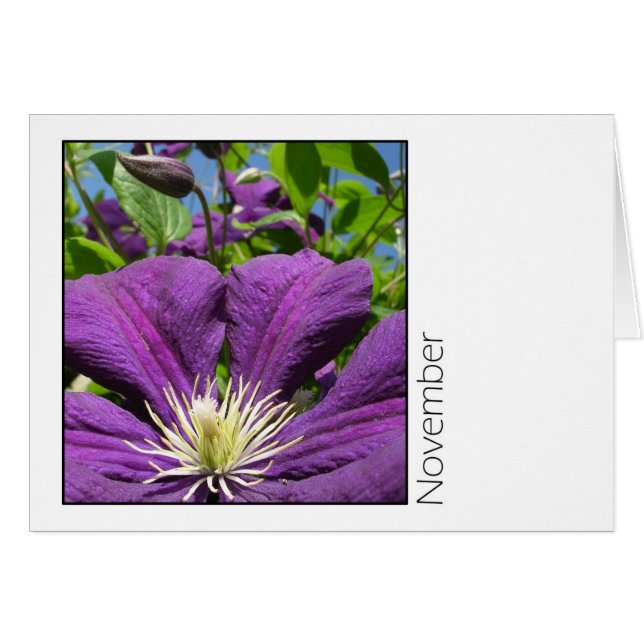 November (Vorderseite (Horizontal))