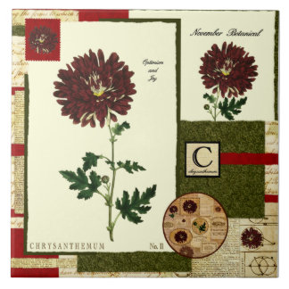 November-Blume Fliese