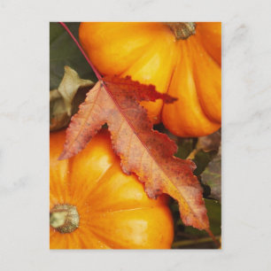 November Design Postkarte