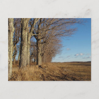 November Feld I Postkarte