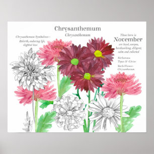 November-Geburtsblume Blumensprache Poster