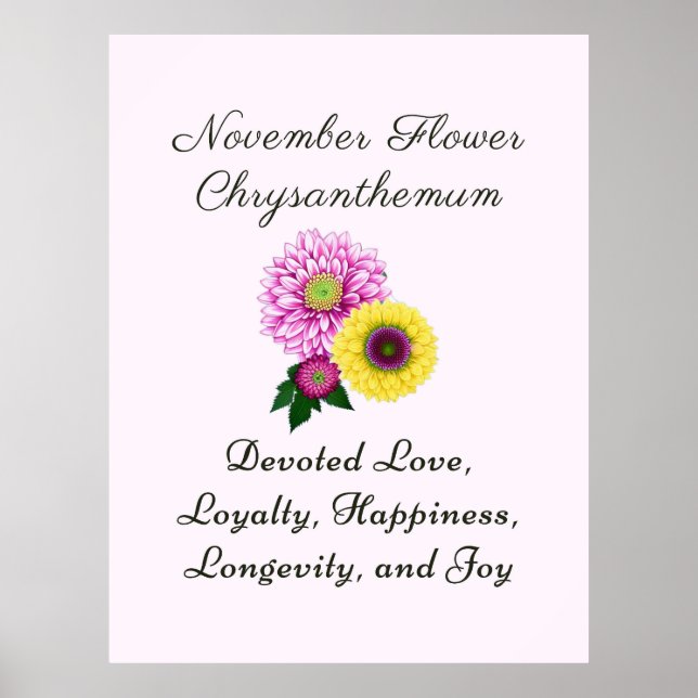 November Geburtsmonat Blume Chrysanthemum Poster (Vorne)